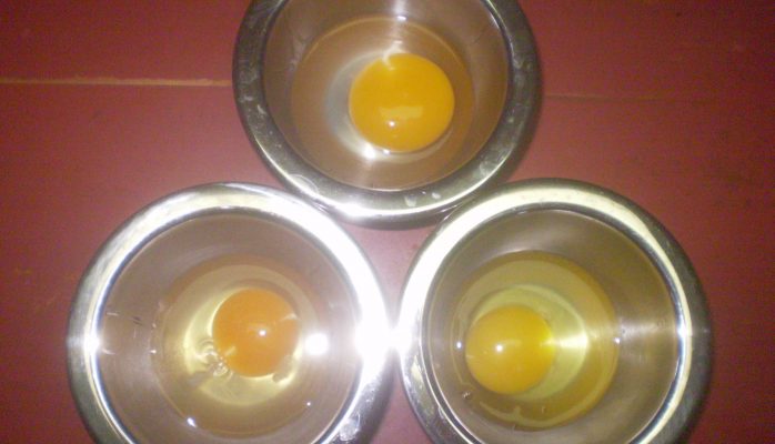 Top: Duck; Bottom: HSE and GSE